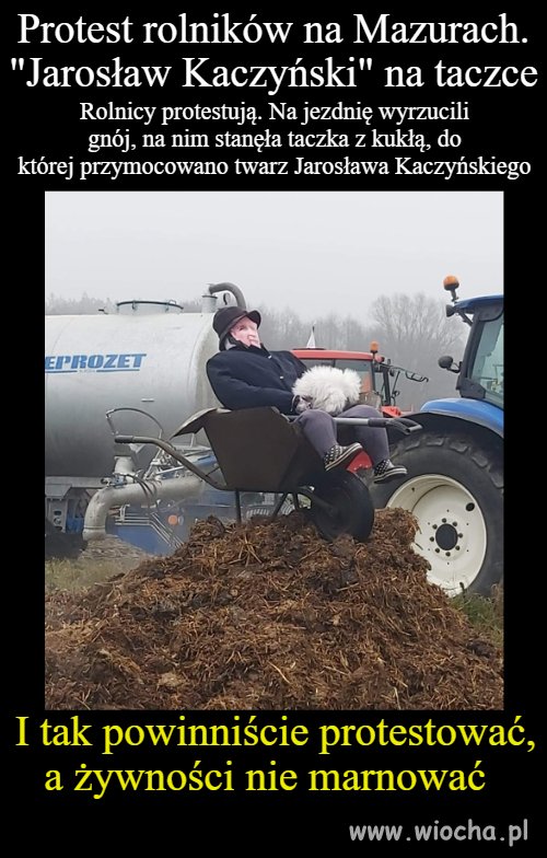 Jarek na taczce 