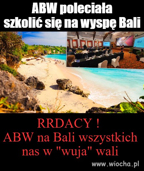 Wczasy, czy praca ?