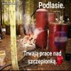 Podlaska szczepionka.