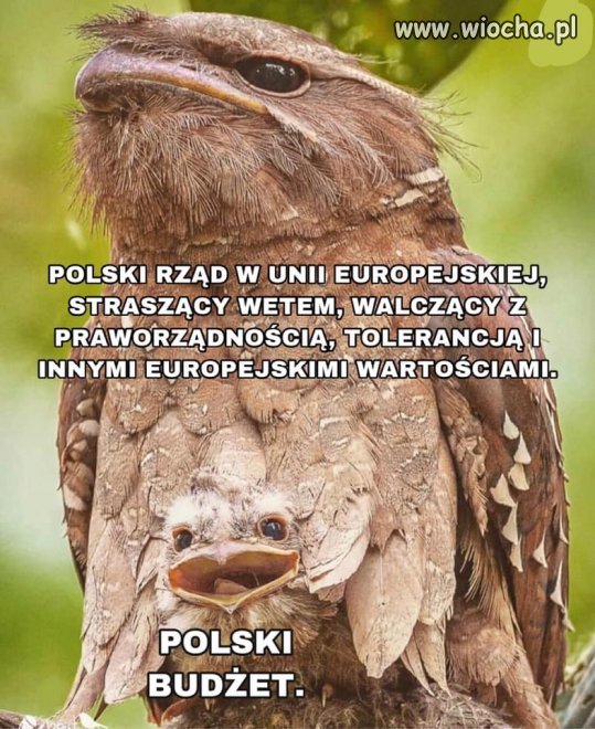 Bez komentarza.