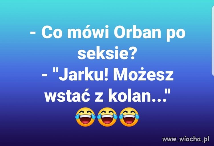 Jarek wstaje z kolan ...