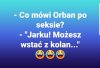 Jarek wstaje z kolan ...