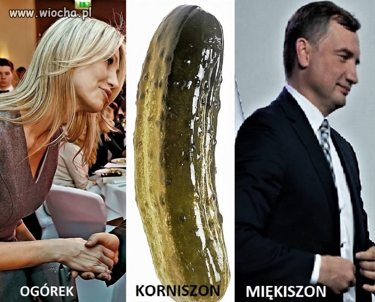 Kuchnia PiS.
