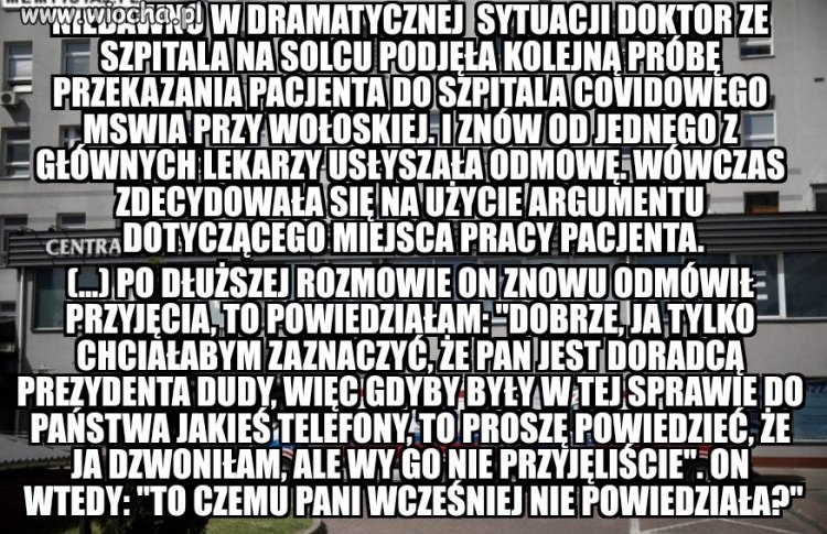 Historia z pisiego raju który wygrywa z covidem