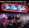Błękitna ostryga 
