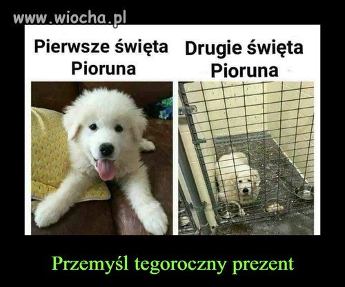 Przemyśl tegoroczny prezent