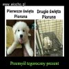 Przemyśl tegoroczny prezent