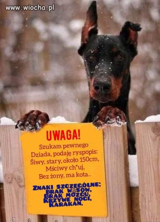 Ktokolwiek widział 