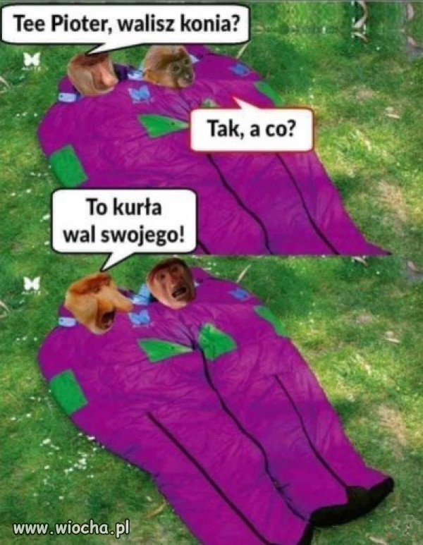 Z cyklu ~znalezione w necie~