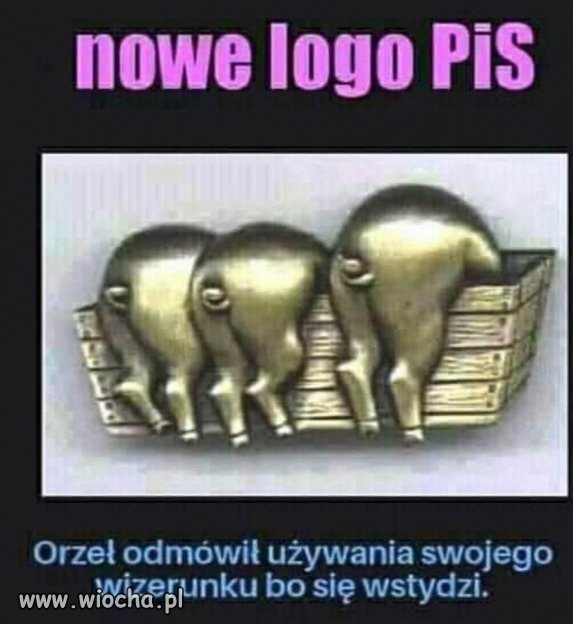 Nowe logo. 
