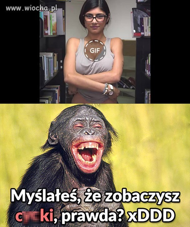 GIF 