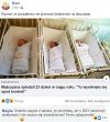 Firma zakończyła działalność