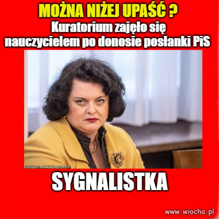 Szkoda słów 