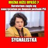 Szkoda słów 