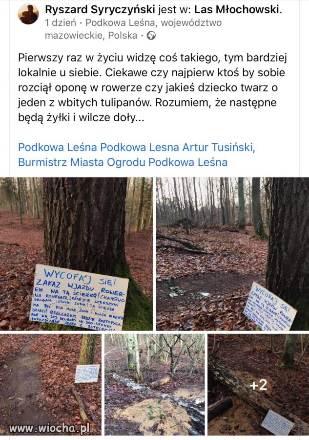 Bez tytułu. Oceńcie sami. 