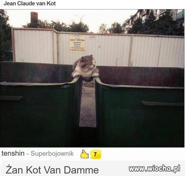 Jean