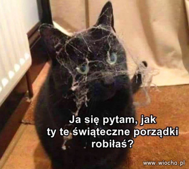 Świąteczne porządki 