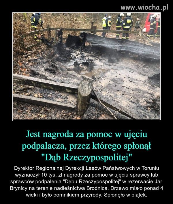 Bez Komentarza 