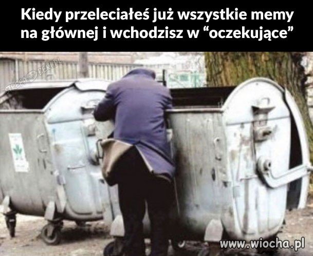 Poszukiwanie skarbów wiochy 
