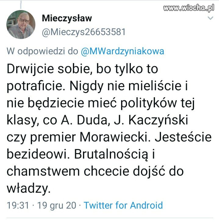Mieciu, zjadł karpia na surowo?