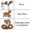 Język zwierząt 
