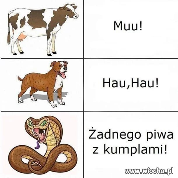 Język zwierząt 