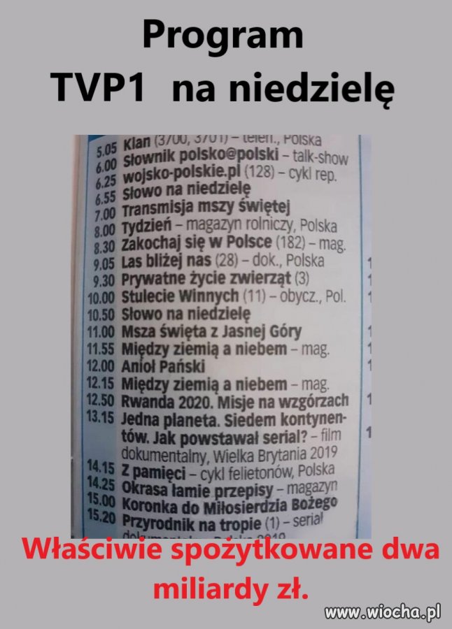 Program TVP1 na niedzielę