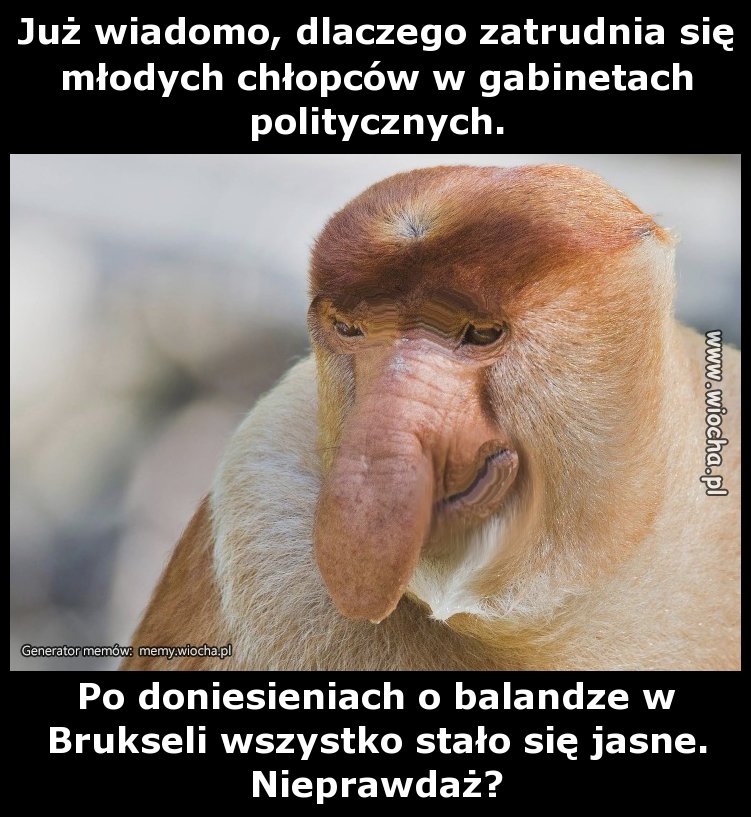Już wiadomo, dlaczego zatrudnia się młodych