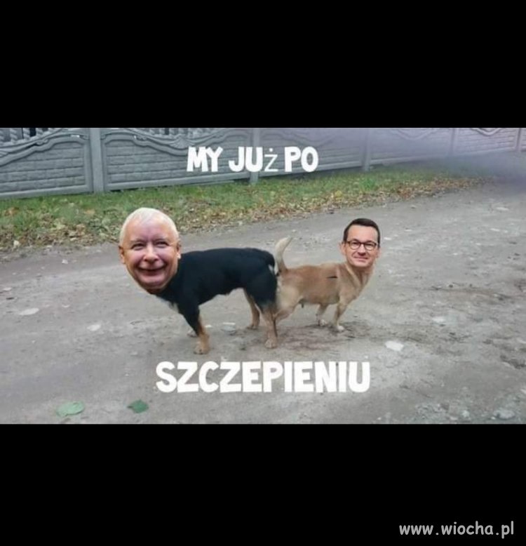 Dali przykład 