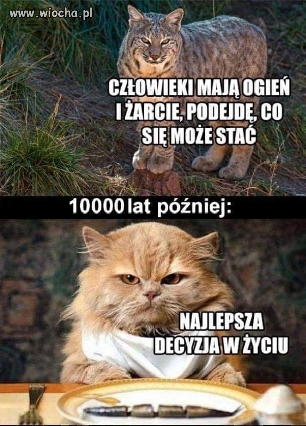 Też się zastanawiam