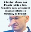 Z każdym plusem nos Pinokia rośnie o 1cm. 