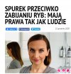 Ludzie to mają dziwne poglądy