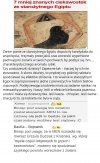 Egipt i higiena   