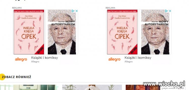 Ciekawe połączenie...