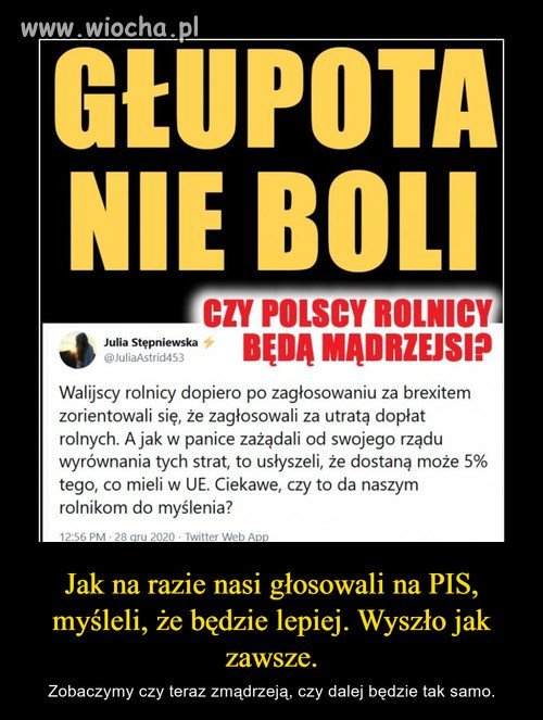 Głupota nie boli...