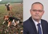 Urzędnik zniszczył budy bezdomnych psów, zwierzaki zaginęły.