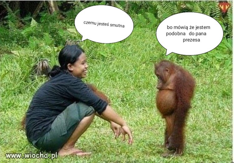Haha