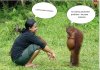 Haha