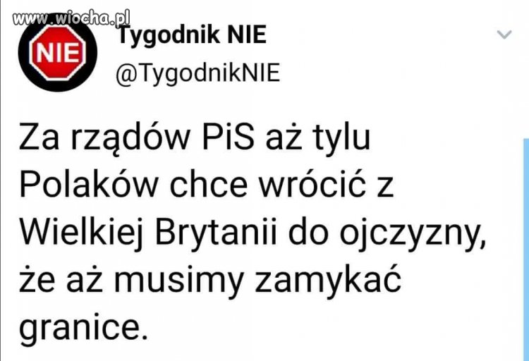 Kolejny sukces pis. 