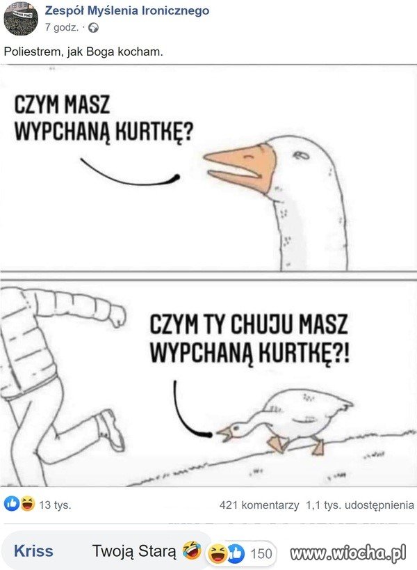 Kurtka  