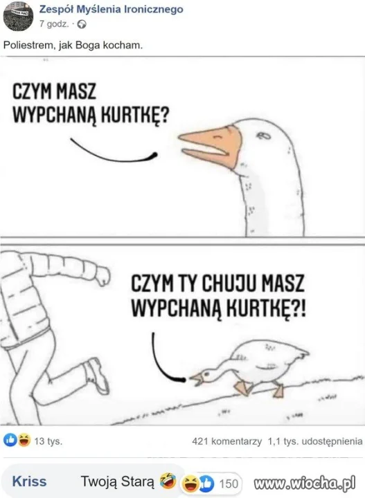 Kurtka  