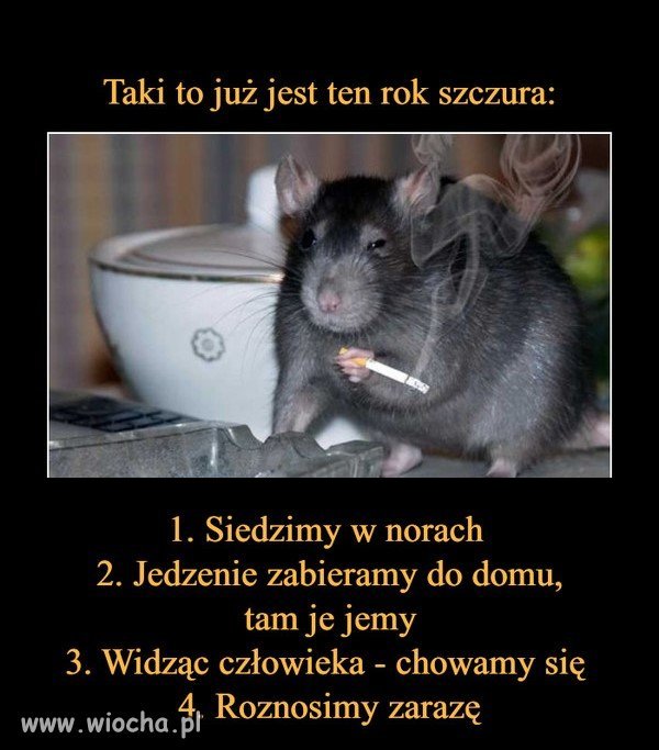 Rok szczura