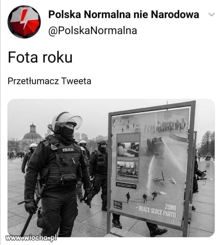 Zdjecie