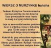 Wiersz o Murzynku 