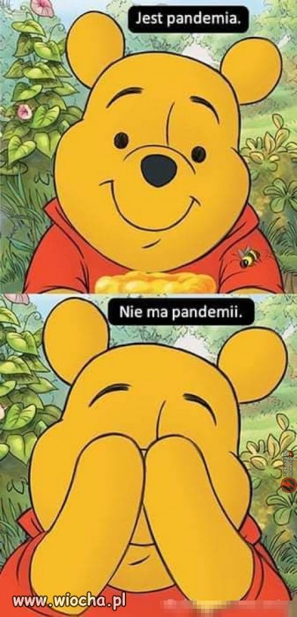Polski rząd. 