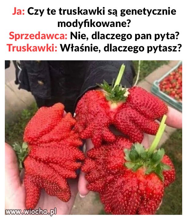 Truskawki po podaniu szczepionki 