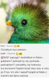 Ptak jaki jest każdy widzi