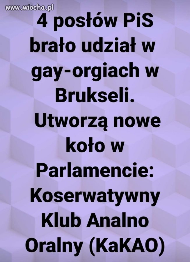 Nowy