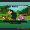 Tak jest