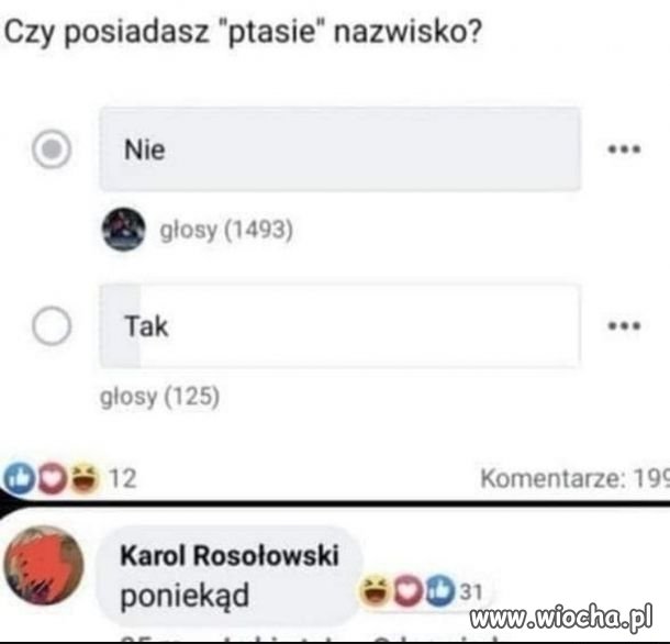 Coś w tym jest